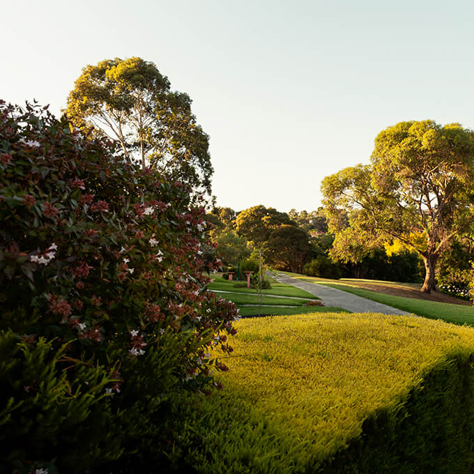 Cv 34 Acres Image 10