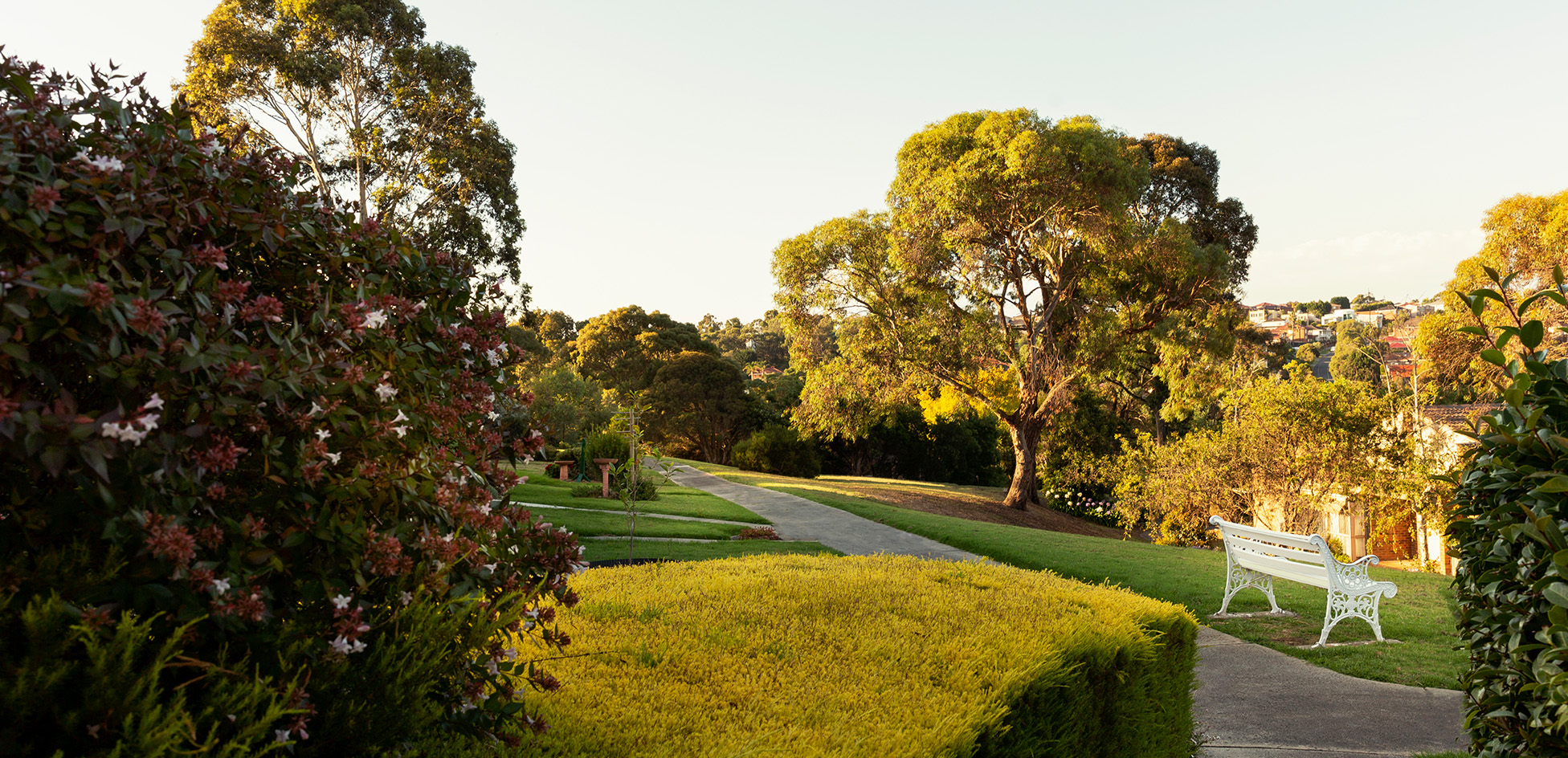 Cv Ourvillage Carousel 06