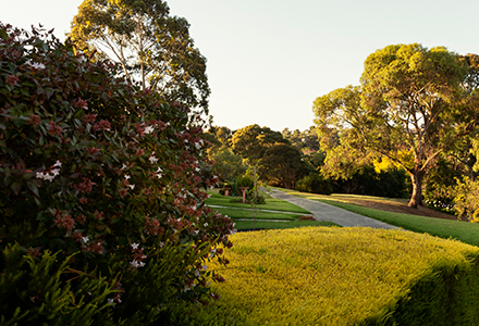 Cv Ourvillage Carousel Mobile 02