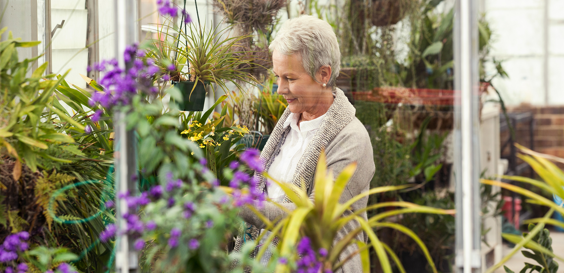 Cv Village Amenities Conservatory